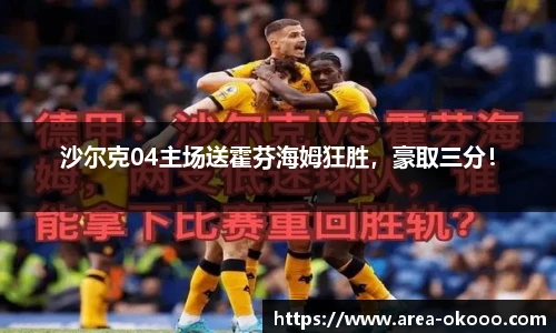 沙尔克04主场送霍芬海姆狂胜，豪取三分！